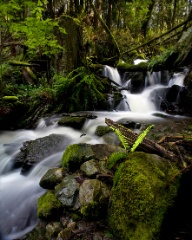 Moss Bellingham Falls.jpg